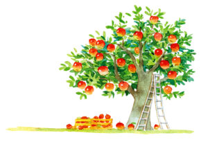 果実をつけた木